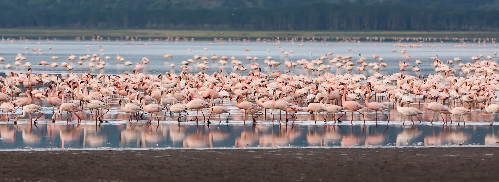 African-Adventure-Specialists-Lake-Bogoria-NATIONAL-PARK-Destination