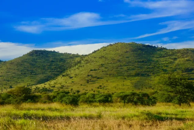AAS 046 Tanzania Signature Safari