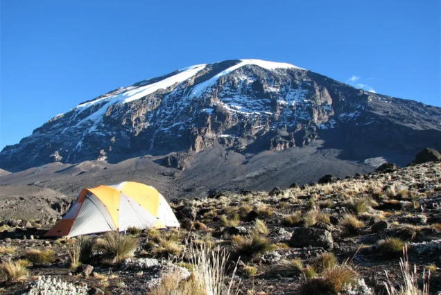 AAS 034 Rongai Ascent: Kilimanjaro’s Exclusive Pathway