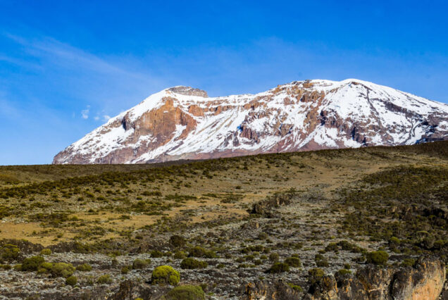 AAS 037 Marangu Trail: Kilimanjaro's Gateway to the Summit