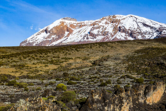 AAS 040 Kilimanjaro Climb via Machame Route – 8-Day Adventure