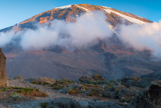 AAS 041 Kilimanjaro Trek – Lemosho Glades Route, 11-Day Expedition