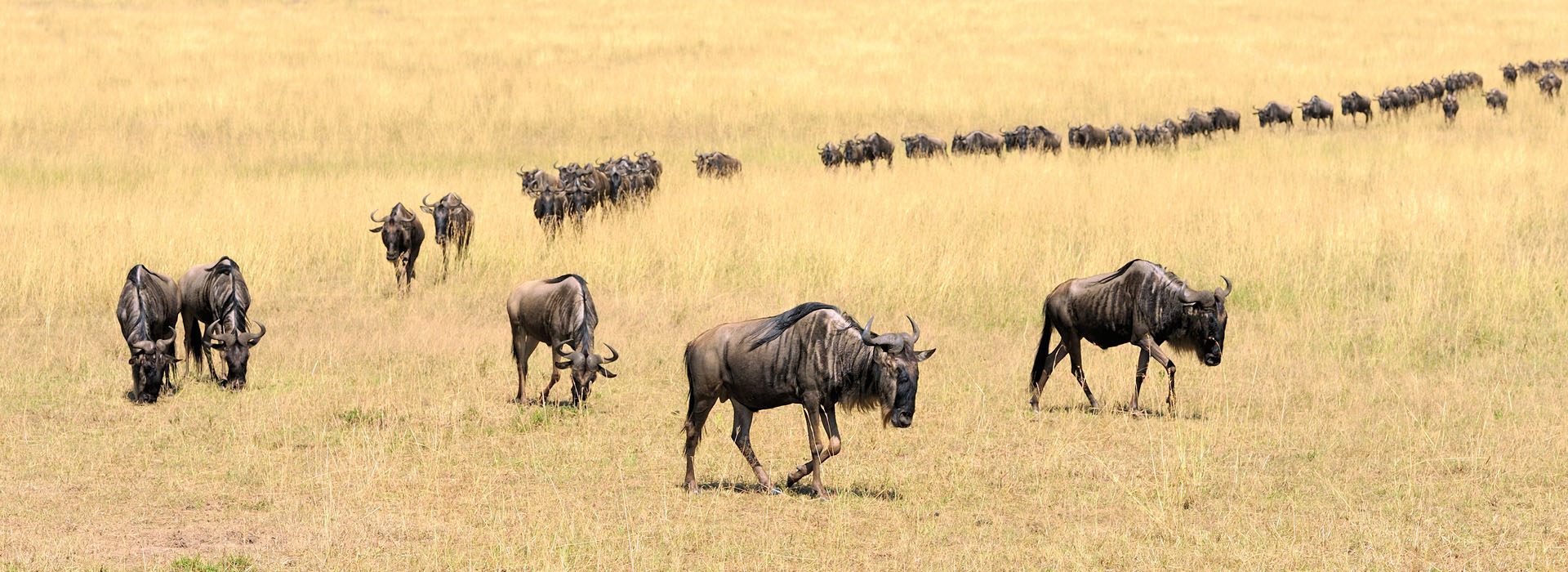 Top-Destinations-in-Kenya-African-Adventure-Specialists