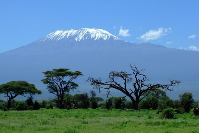 AAS 035 Summit Serenade: Kilimanjaro Shira Adventure