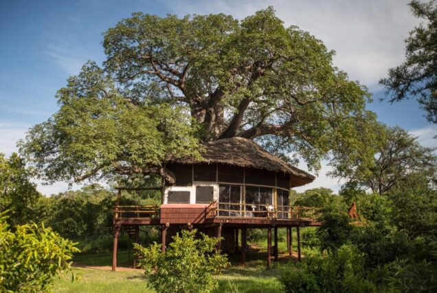 AAS 017 Tanzania’s Signature Wilderness Safari
