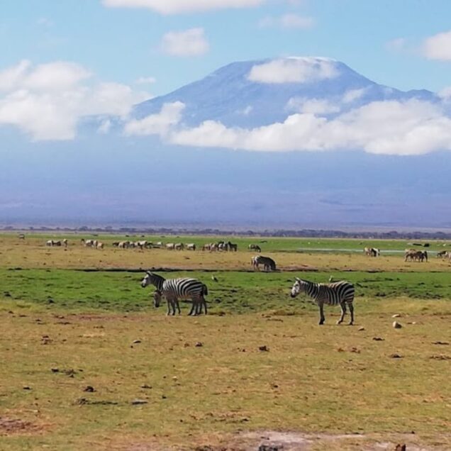 AMBOSELI NATIONAL PARK