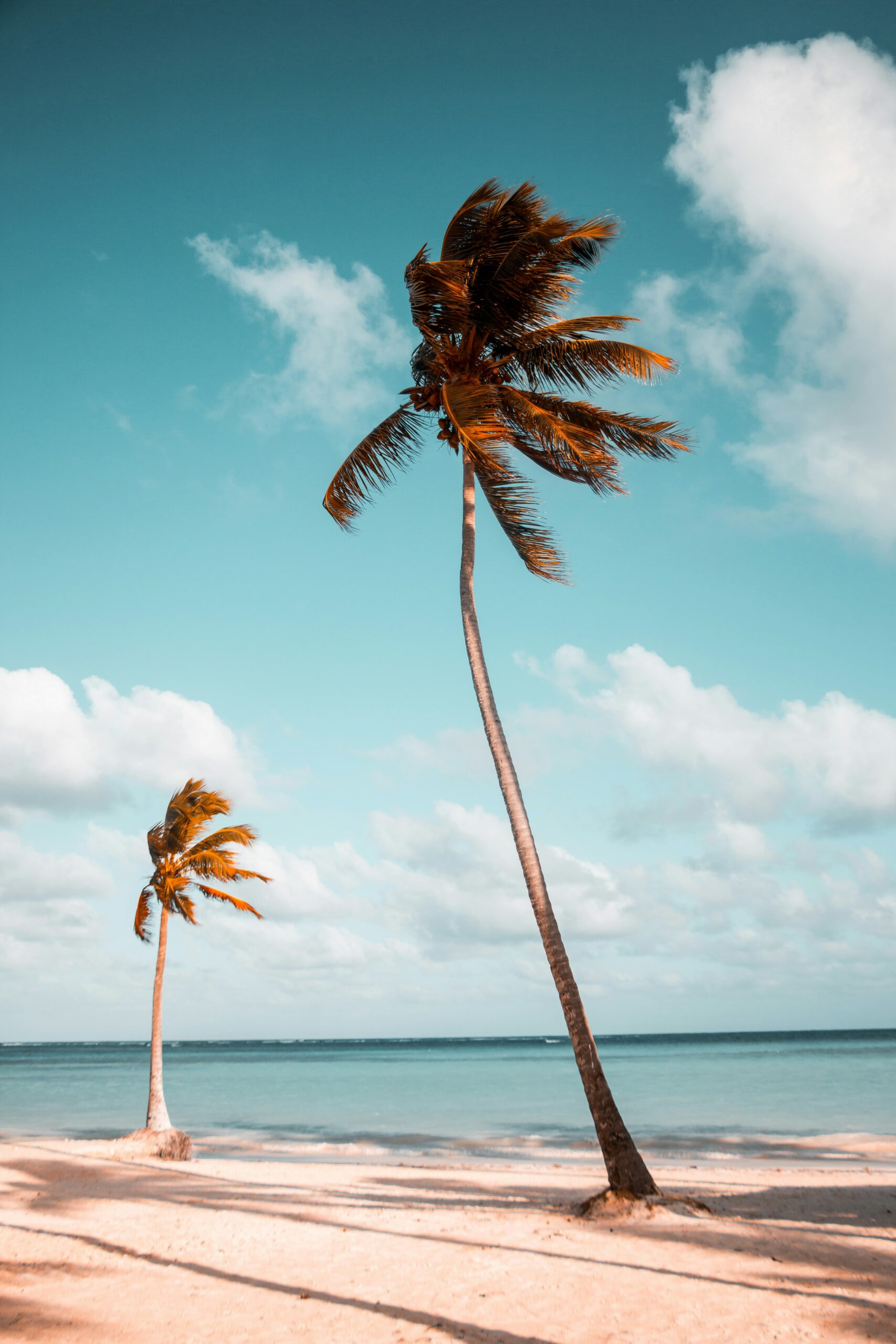 benjamin-voros-AD6rn3vqG7o-unsplash