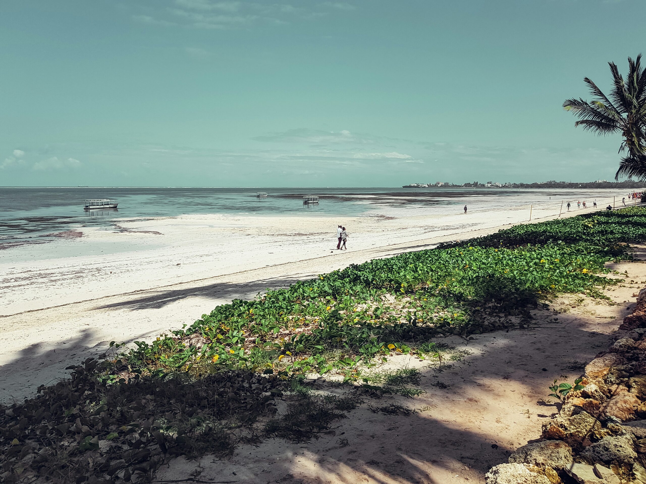harshil-gudka-CcyP9DlIdrM-unsplash