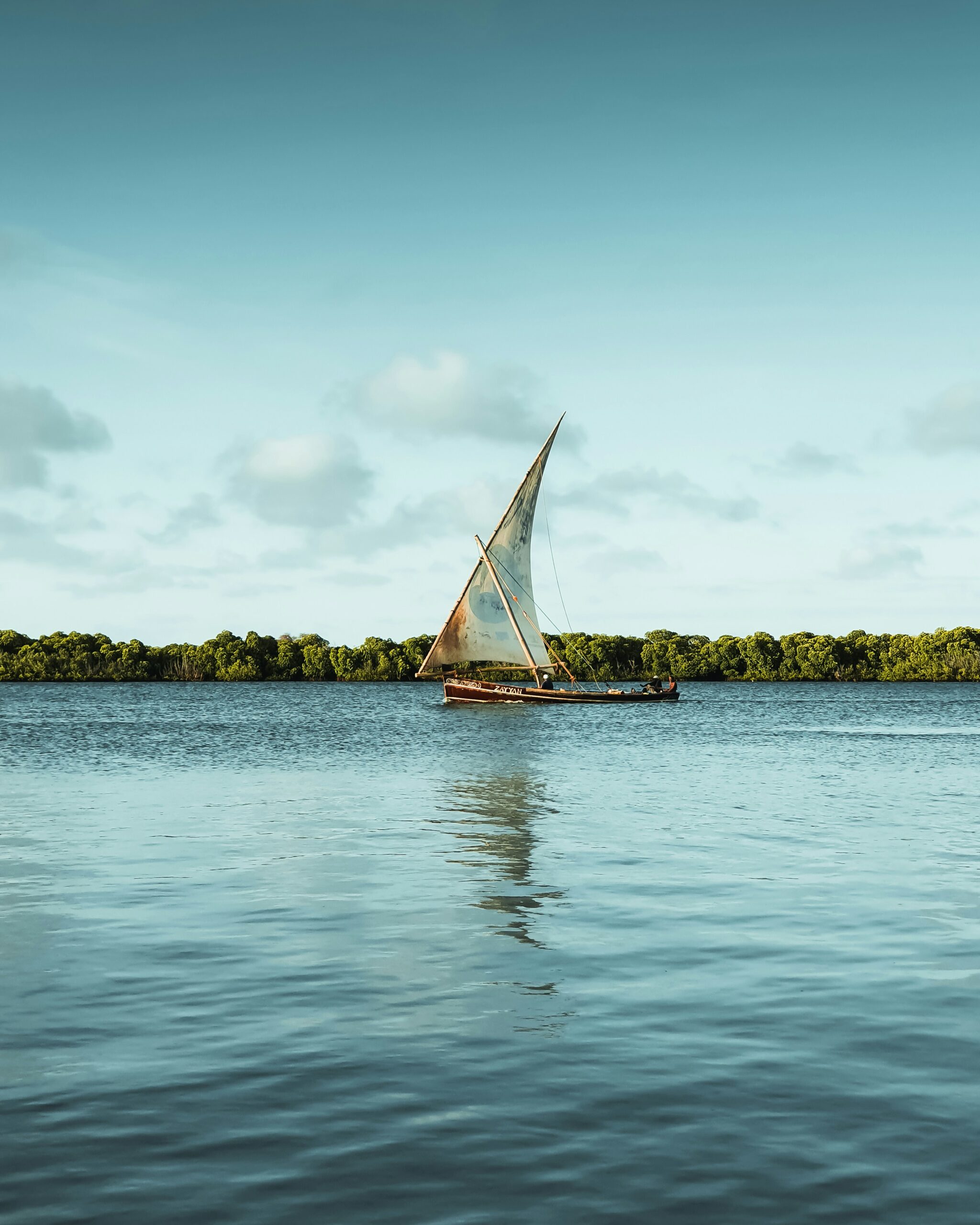 harshil-gudka-oEBqrgQU-gY-unsplash